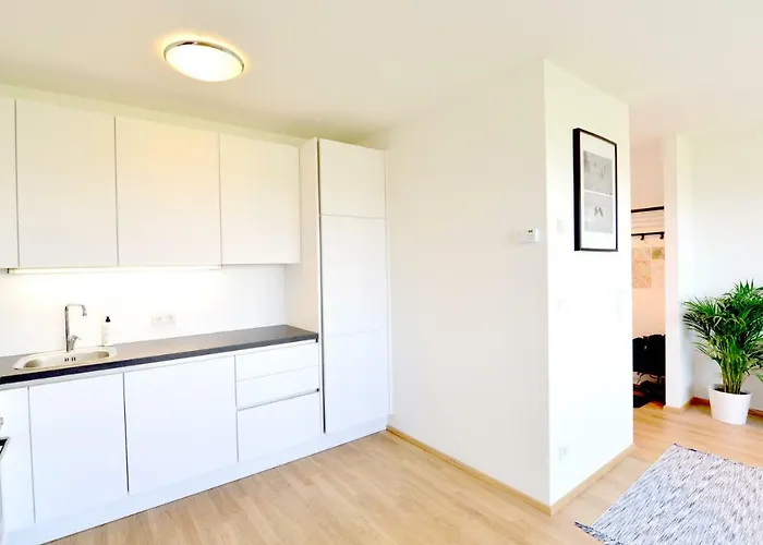 Erdberger Lände Apartment